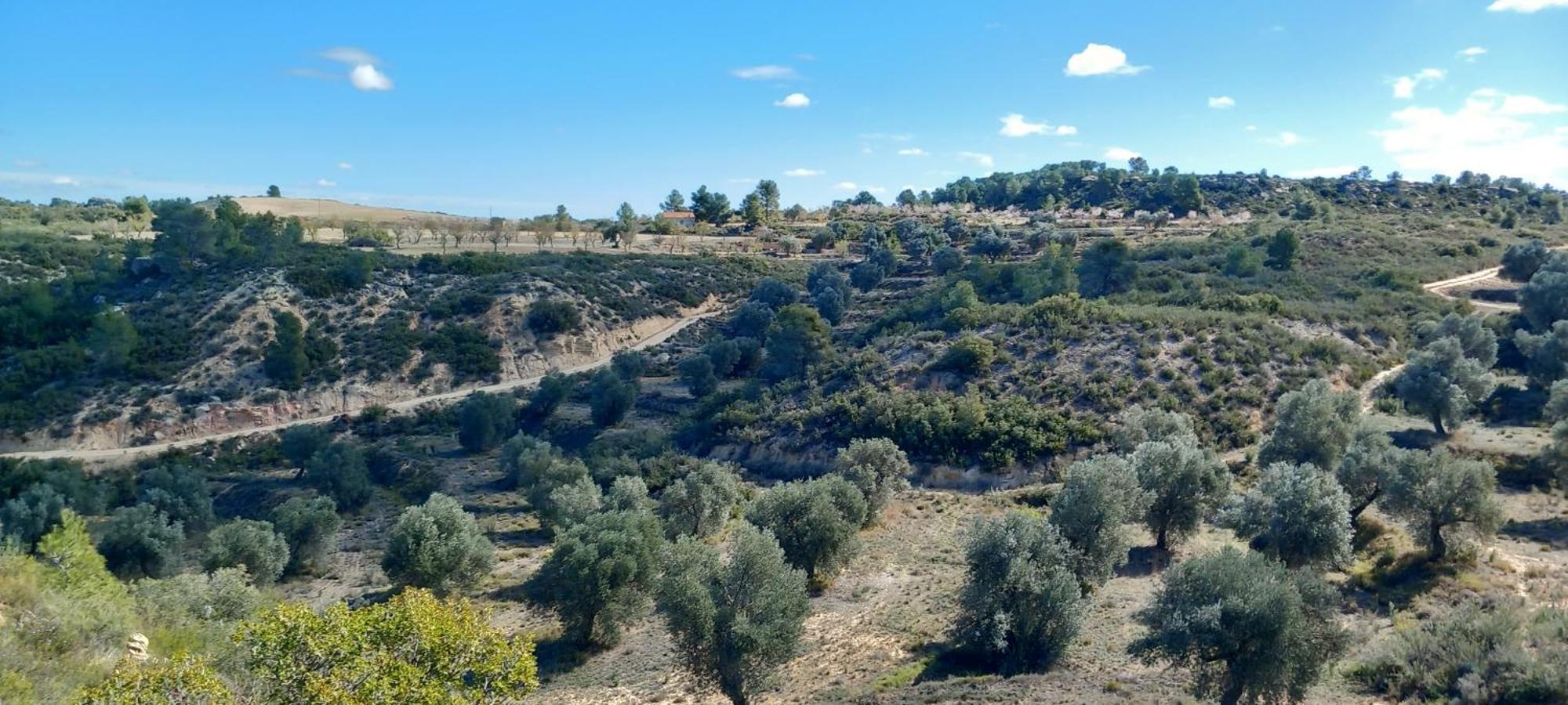 Campsite Caravan La Vida Rustica *