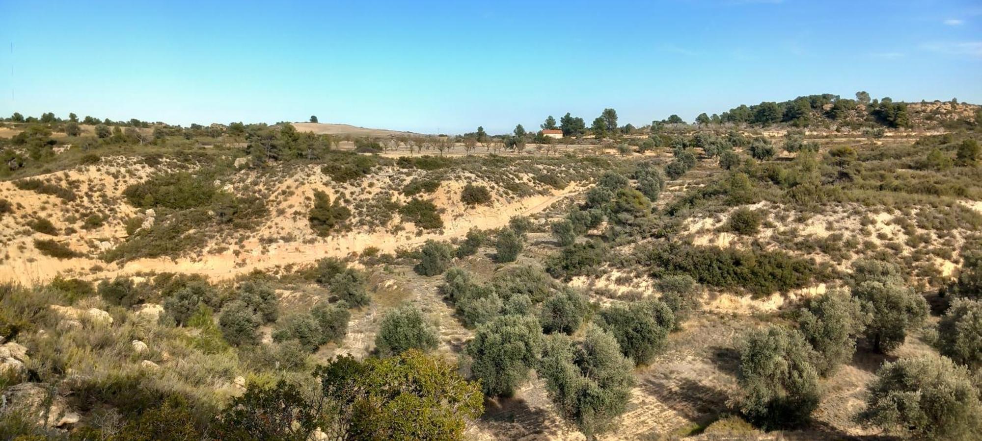 Caravan La Vida Rustica Campsite Maella