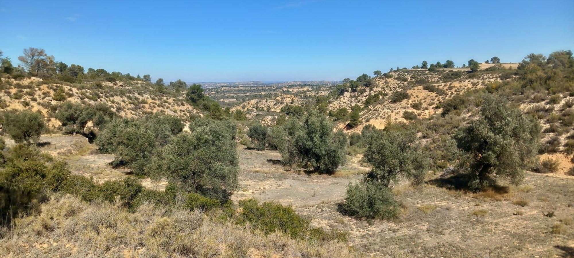 Caravan La Vida Rustica Campsite