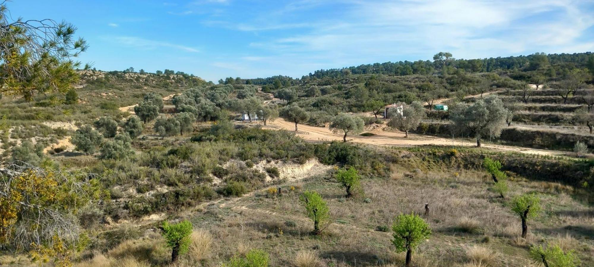 Campsite Caravan La Vida Rustica *