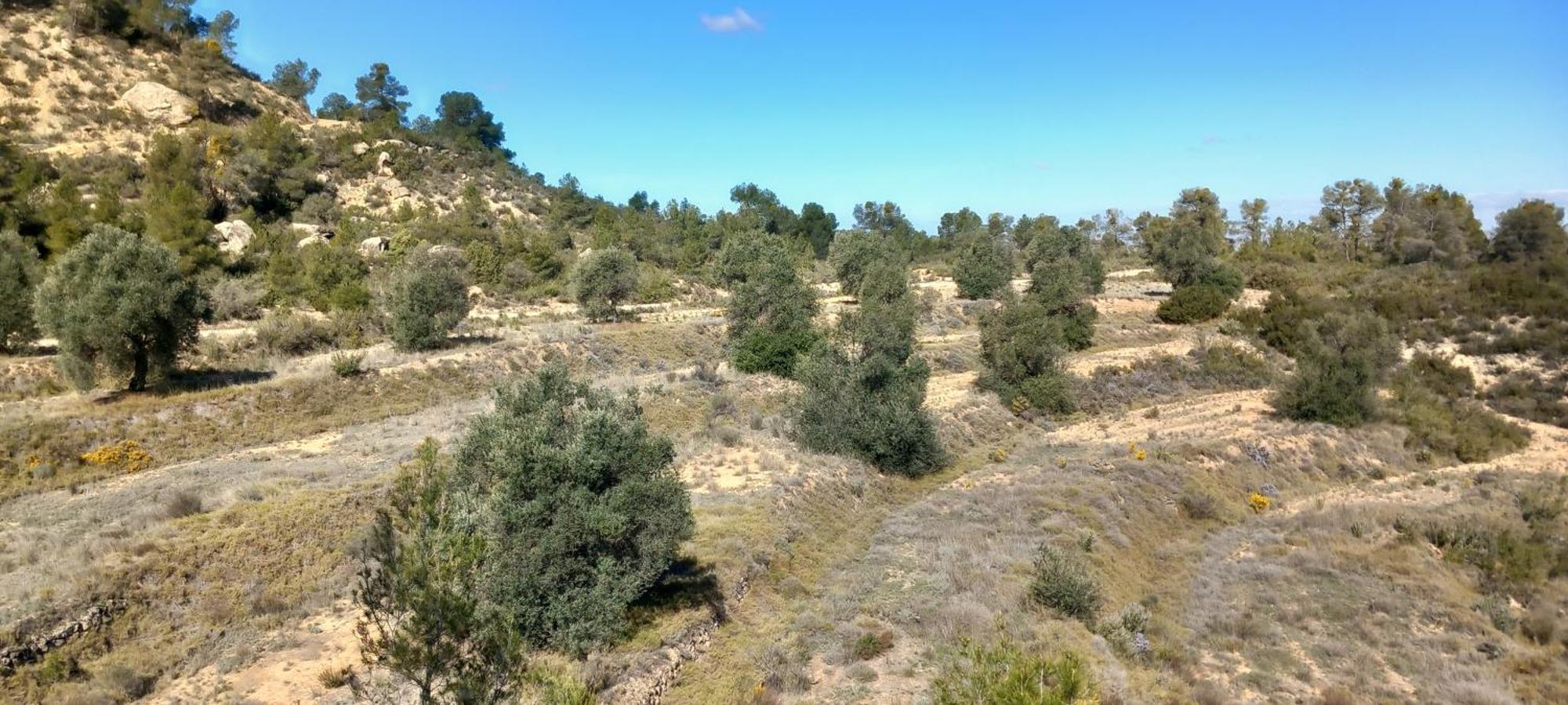 Caravan La Vida Rustica Campsite