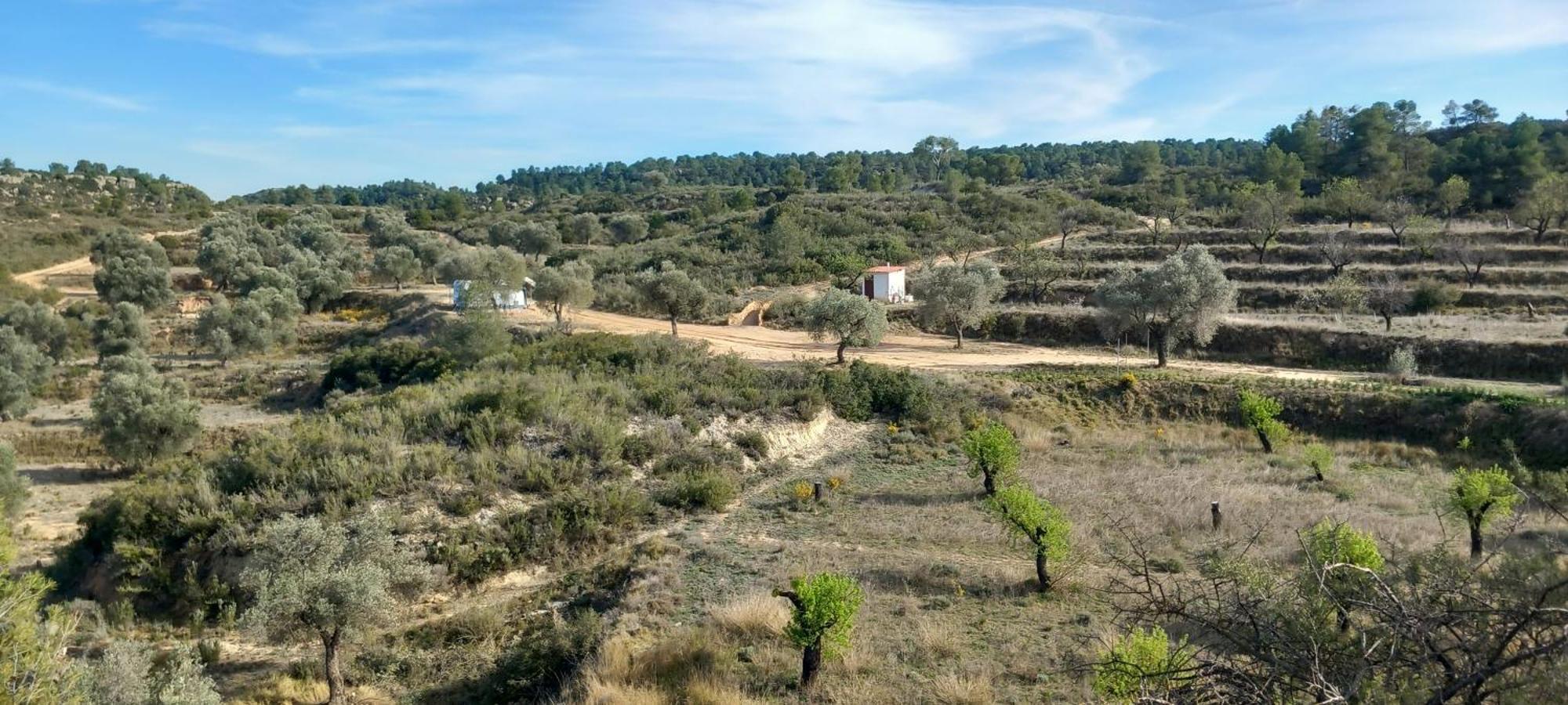 Caravan La Vida Rustica