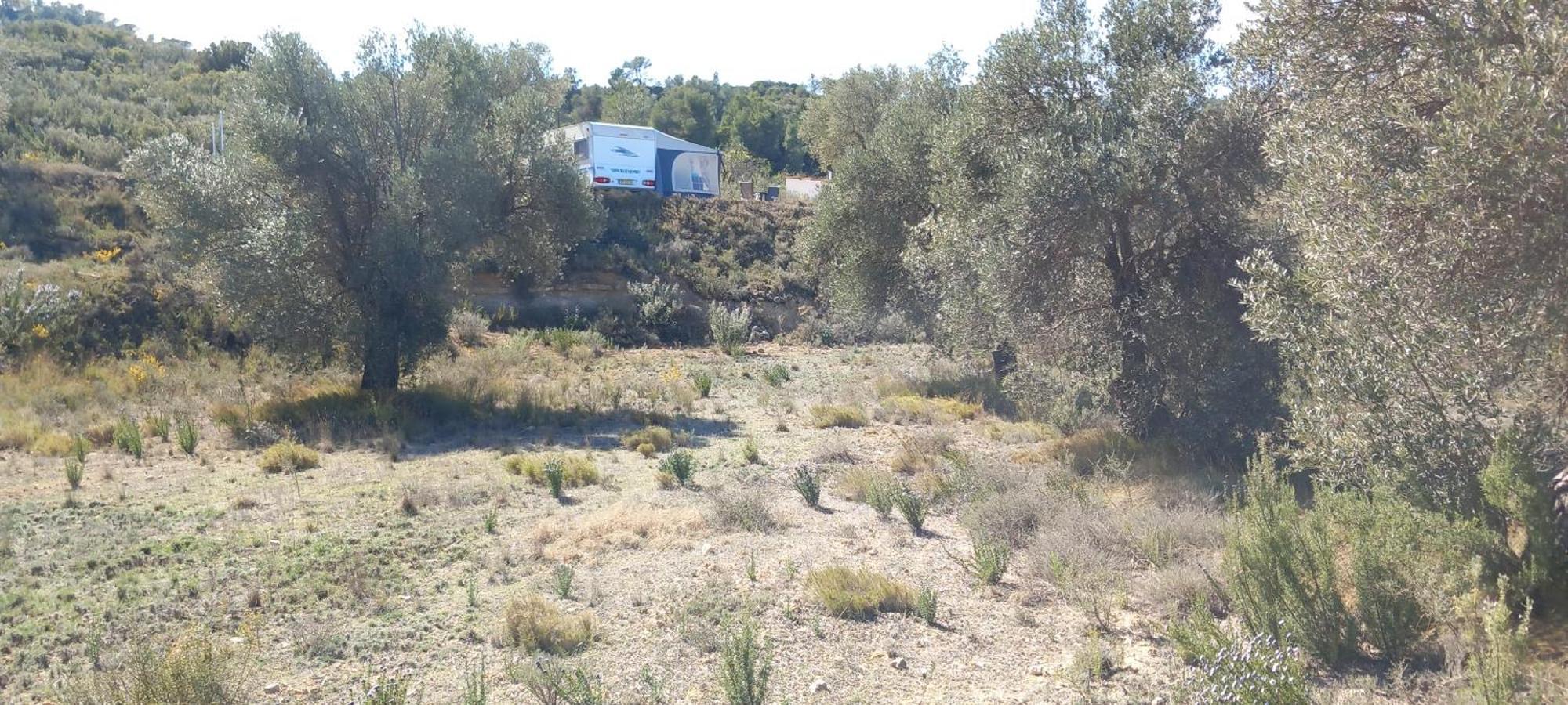 Caravan La Vida Rustica Campsite